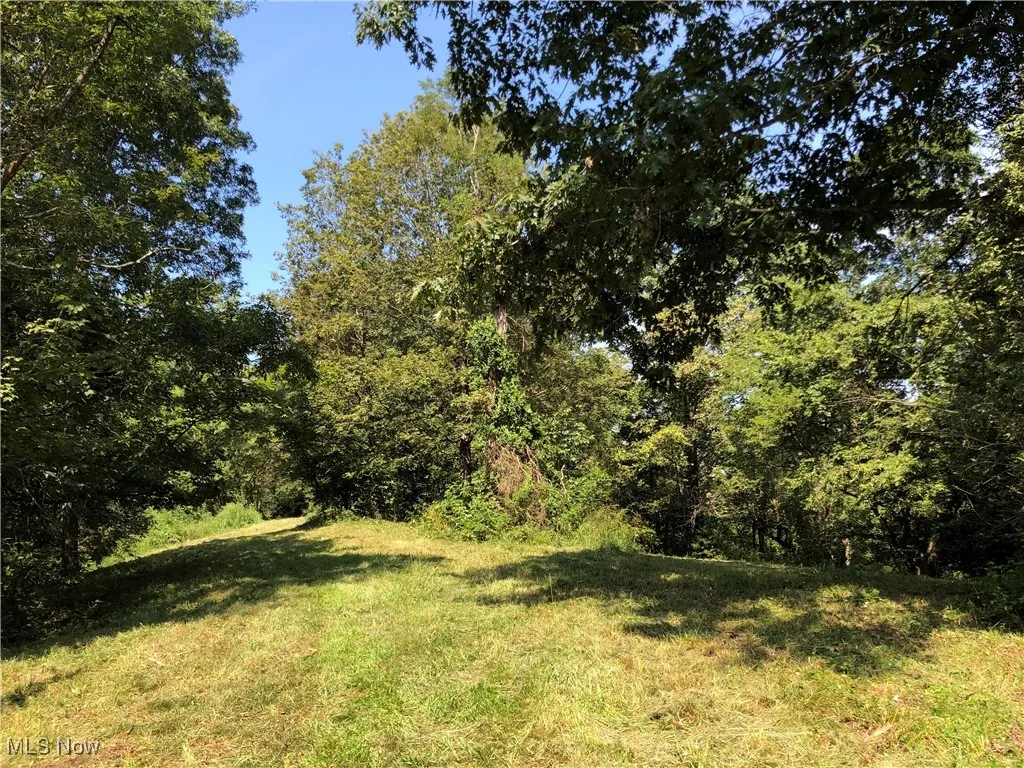 1455 St Rte 124, Coolville, Ohio 45723,MLS Now Listing ID