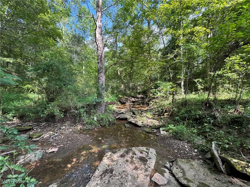 1455 St Rte 124, Coolville, Ohio 45723,MLS Now Listing ID