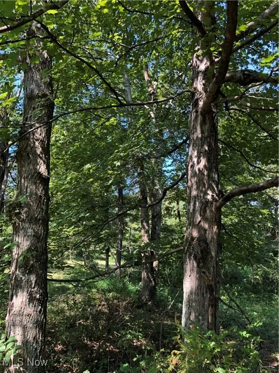 1455 St Rte 124, Coolville, Ohio 45723,MLS Now Listing ID