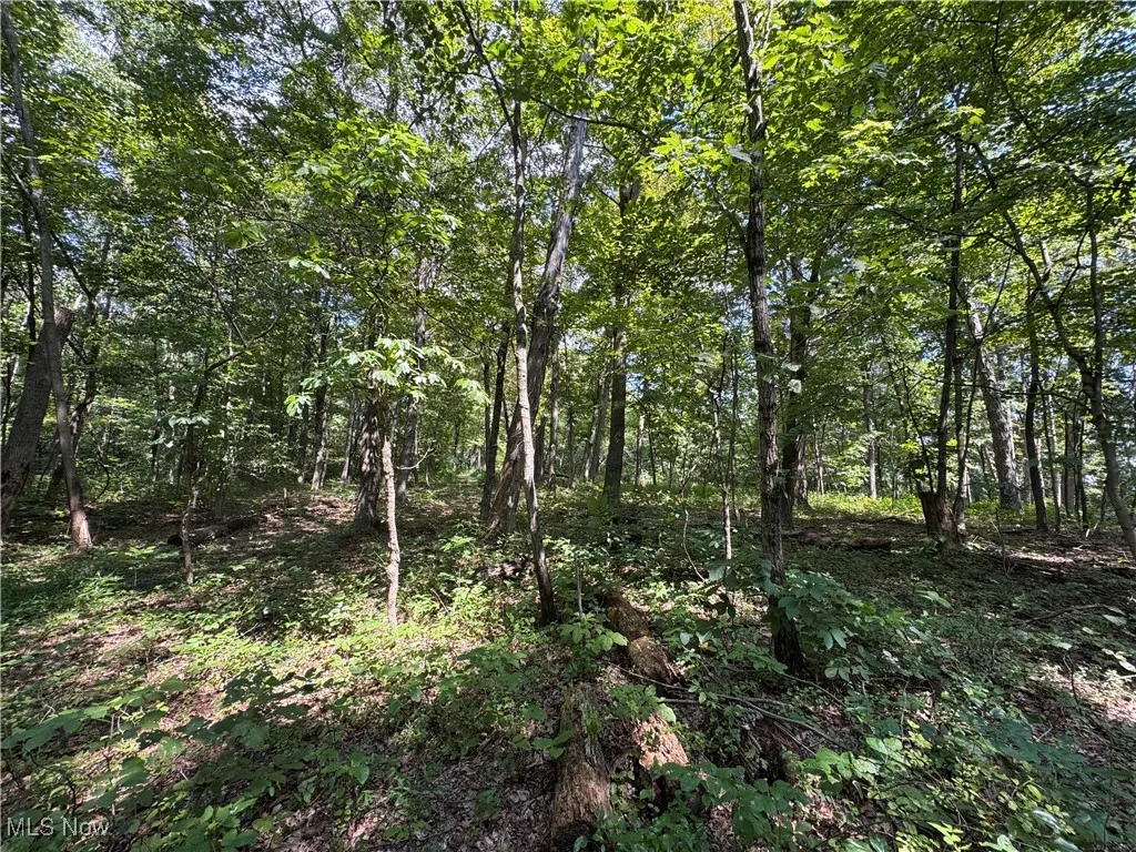 1455 St Rte 124, Coolville, Ohio 45723,MLS Now Listing ID