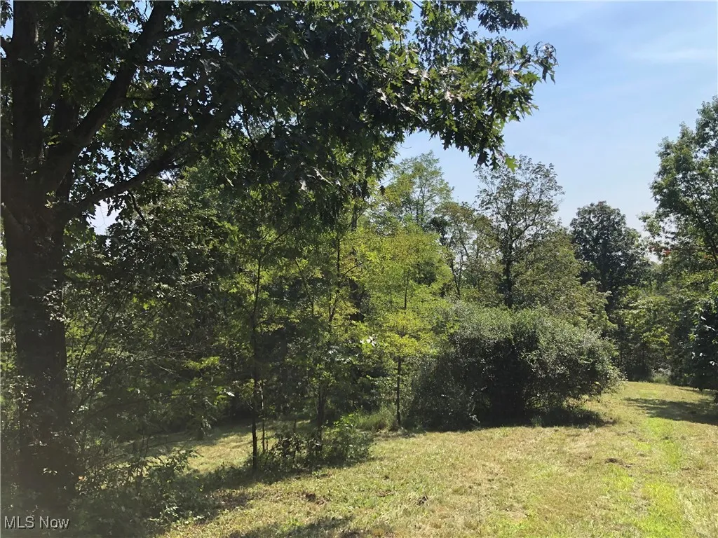1455 St Rte 124, Coolville, Ohio 45723,MLS Now Listing ID