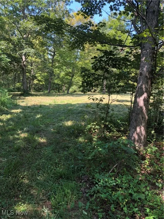 1455 St Rte 124, Coolville, Ohio 45723,MLS Now Listing ID