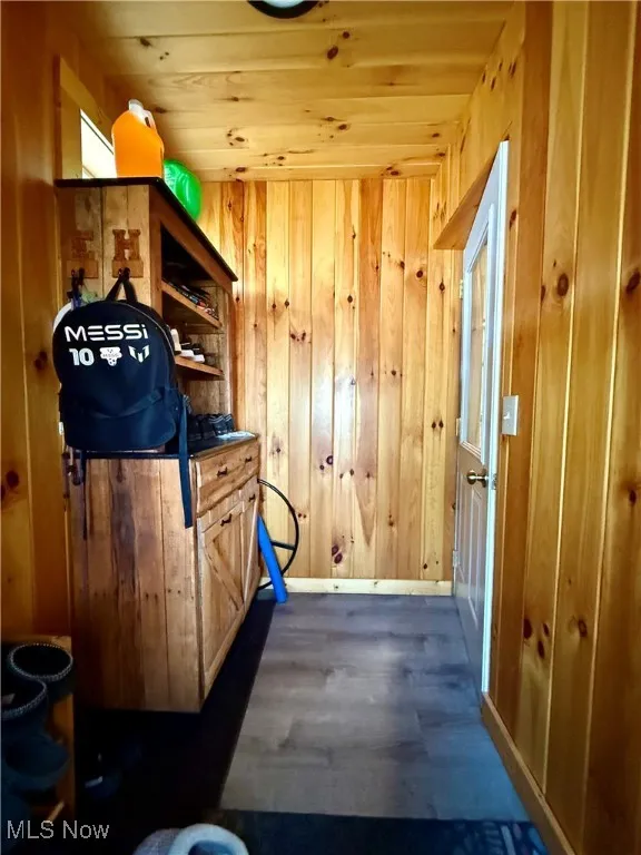 back entry