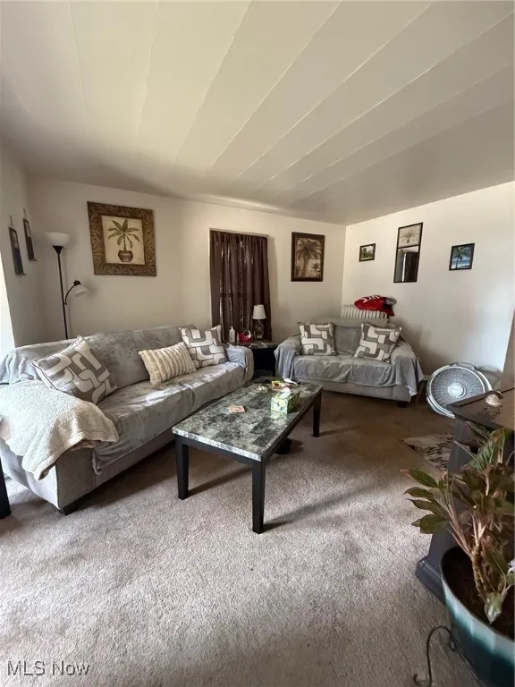 Living room with carpet flooring