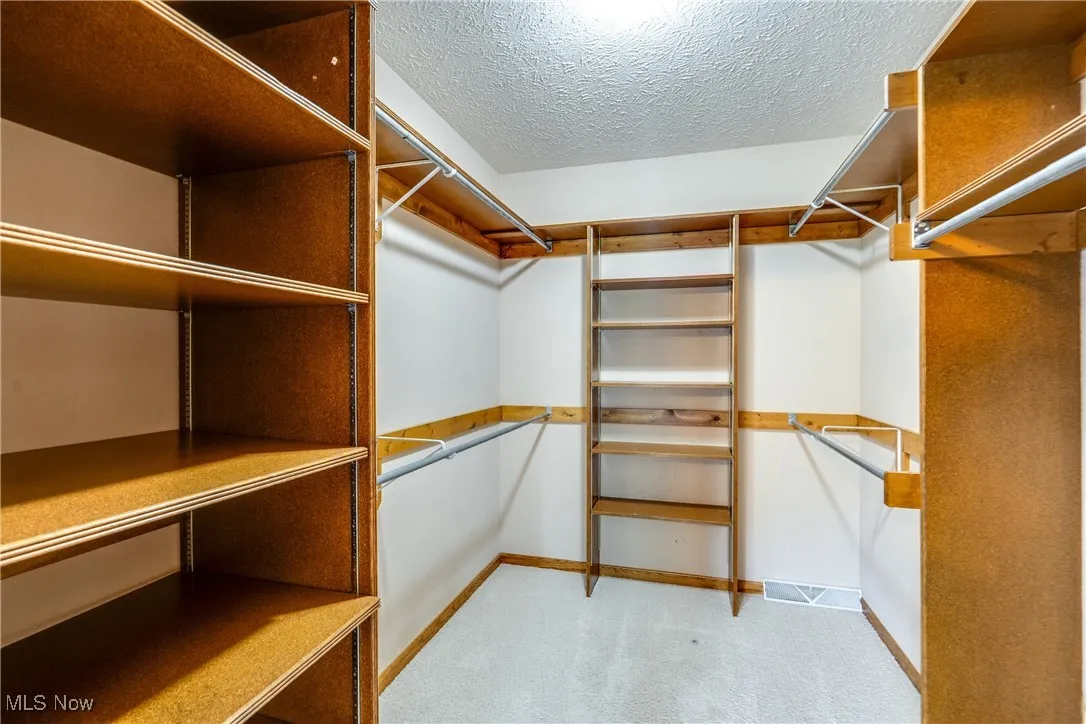 Walk in closet with light carpet