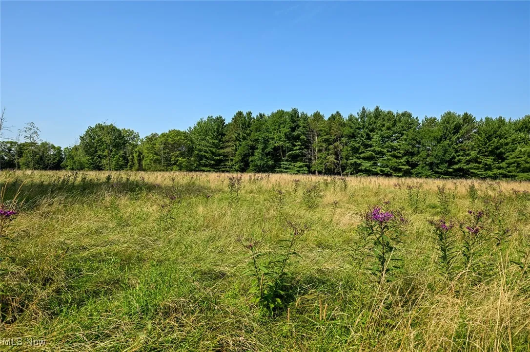 7816 Elyria Road, Medina, Ohio 44256,MLS Now Listing ID