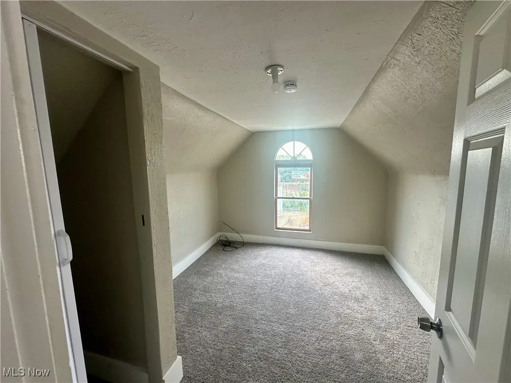 Additional living space with a textured ceiling, carpet floors, lofted ceiling, and a textured wall