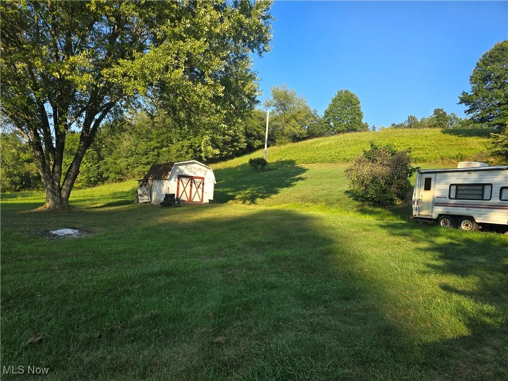 View of green lawn with a shed