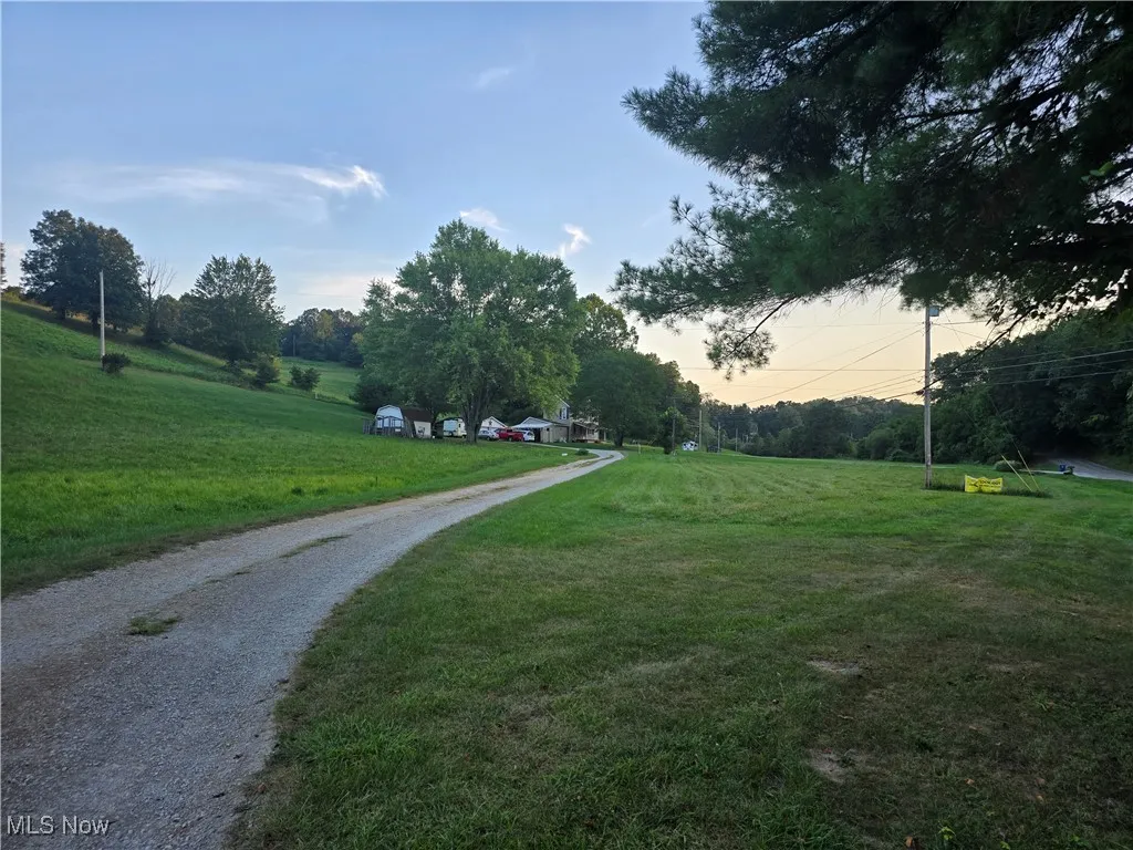 View of dirt / gravel driveway