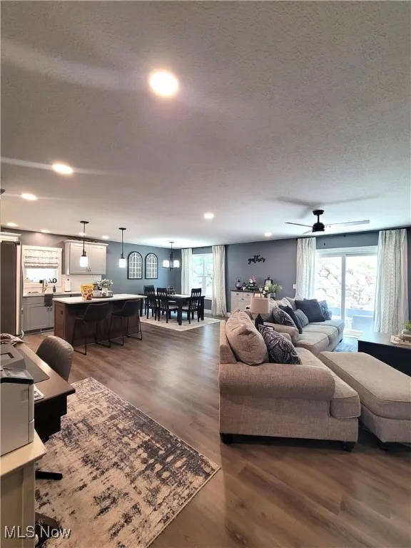 Living room featuring a textured ceiling and dark wood-type flooring