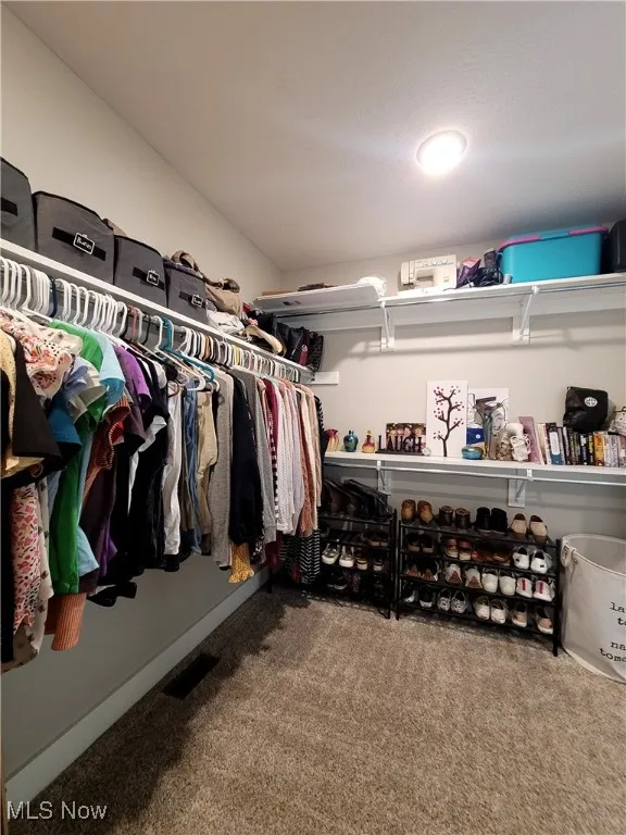 Spacious walk-in closet featuring light colored carpet