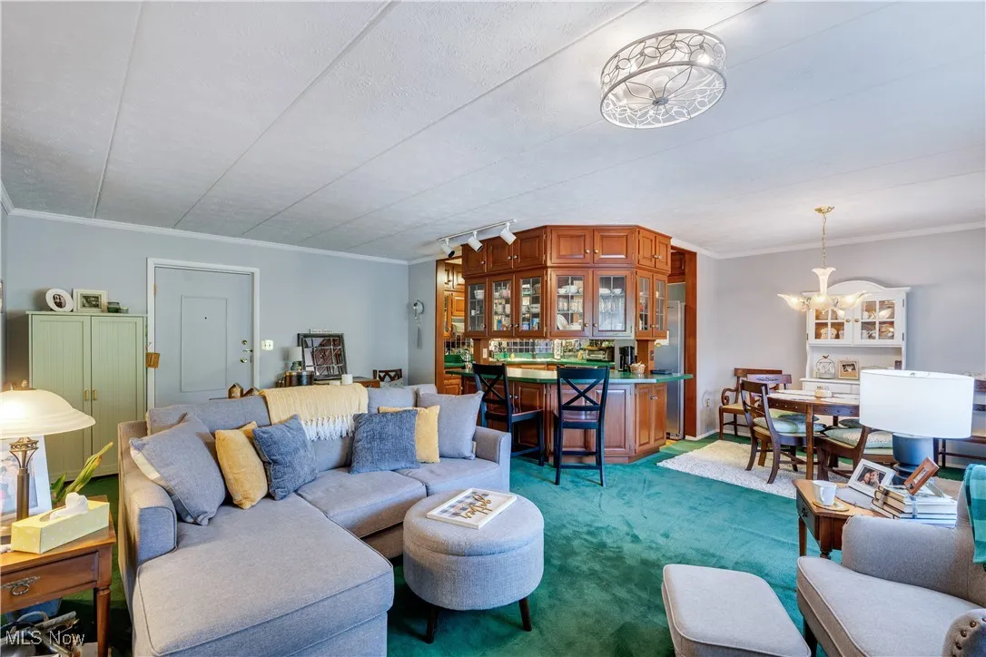 Living room featuring crown molding, carpet, and a chandelier