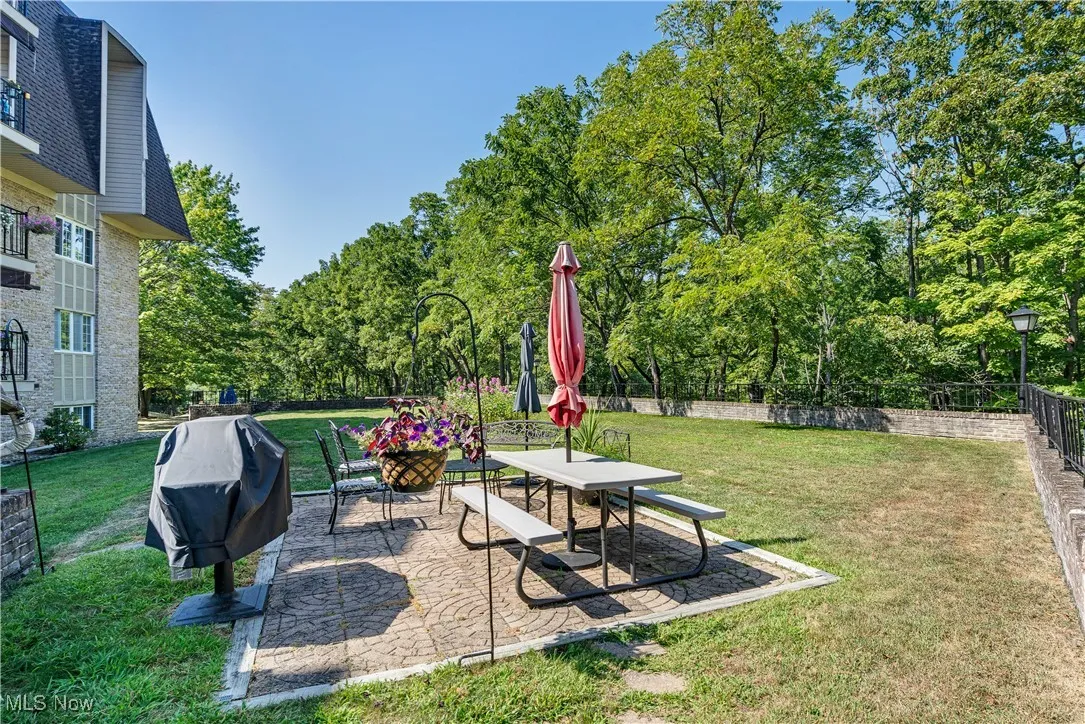View of yard with a patio area and view of scattered trees