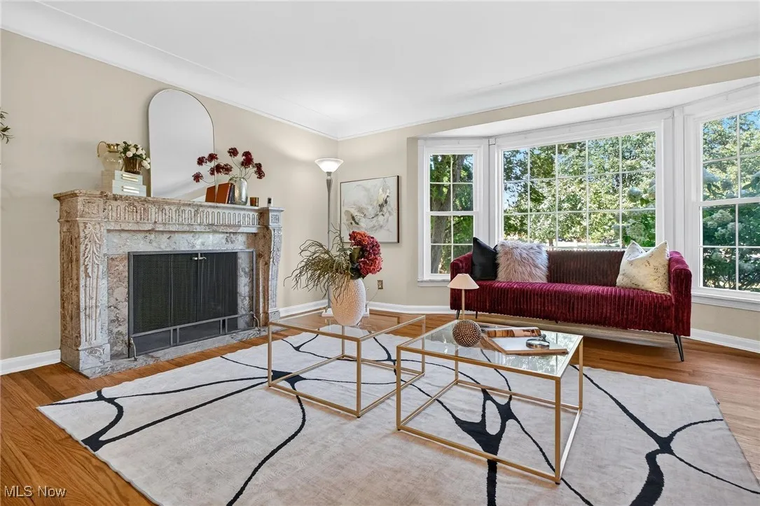 Living room featuring wood finished floors, a premium fireplace, and ornamental molding