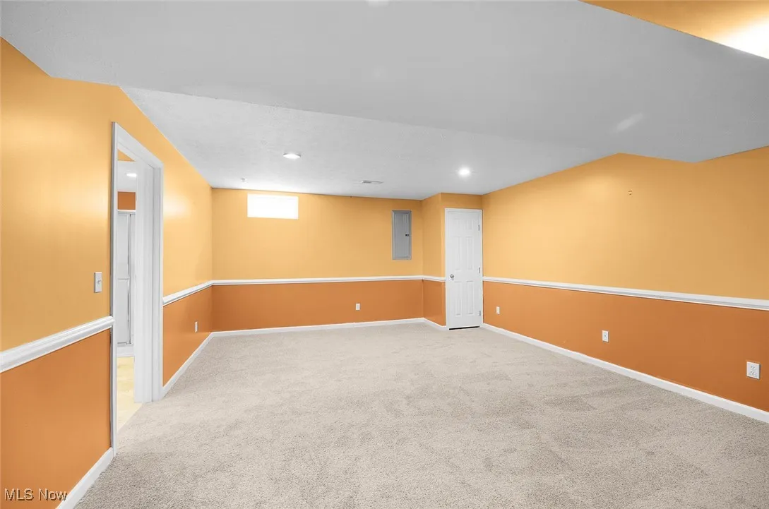 New Carpet