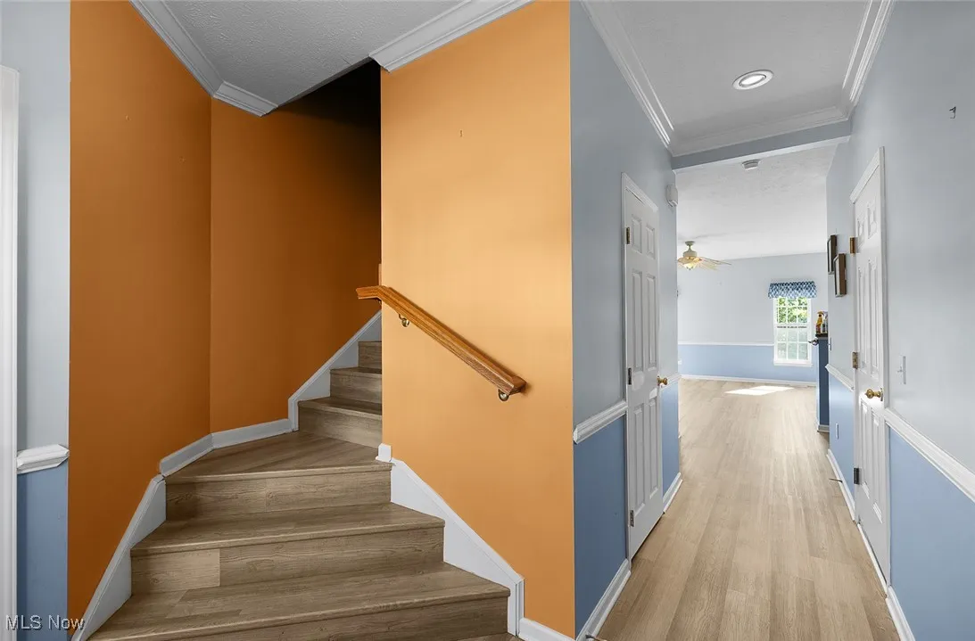 Vinyl Plank Flooring