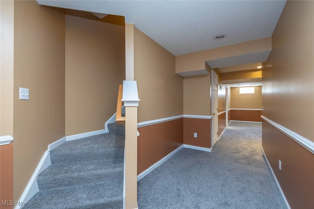 New Carpet