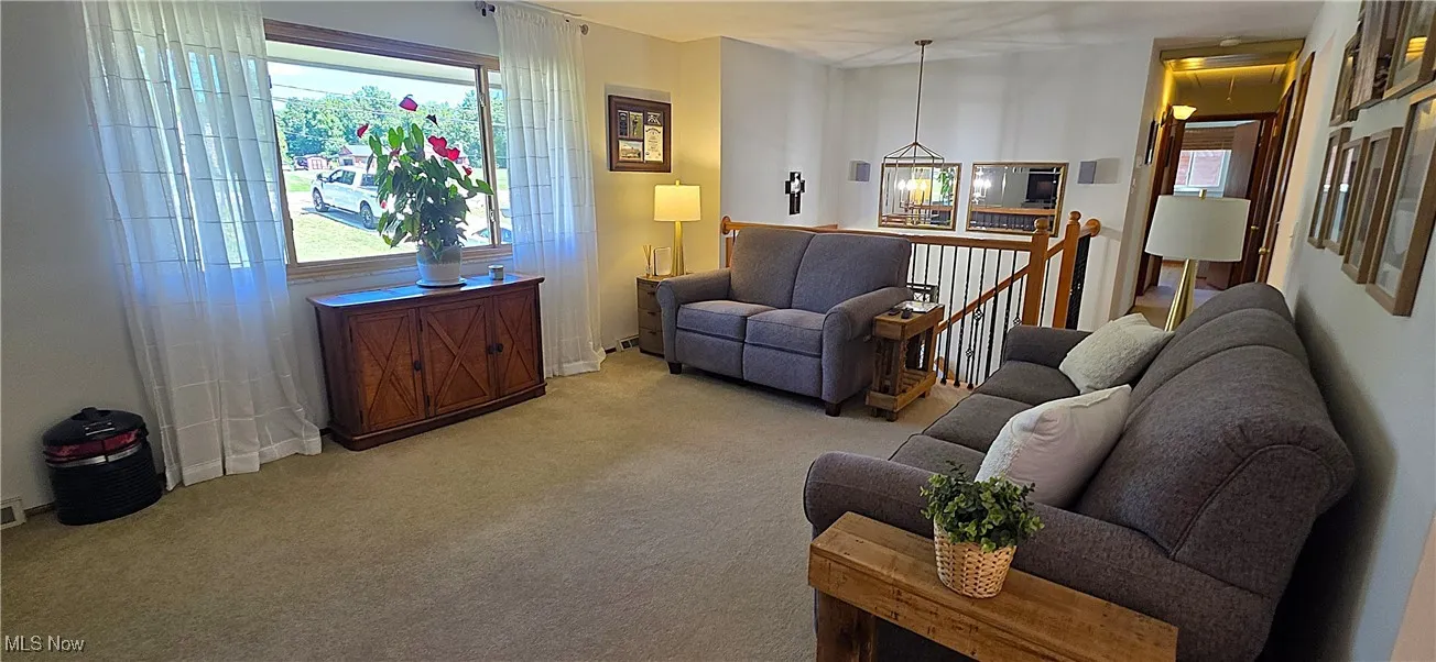 Carpeted living room with hardwood floors under the carpet and plenty of natural light