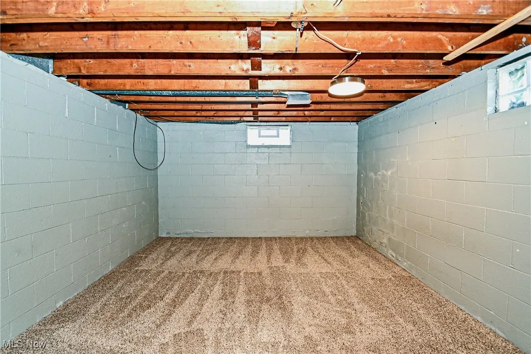 Basement featuring carpet
