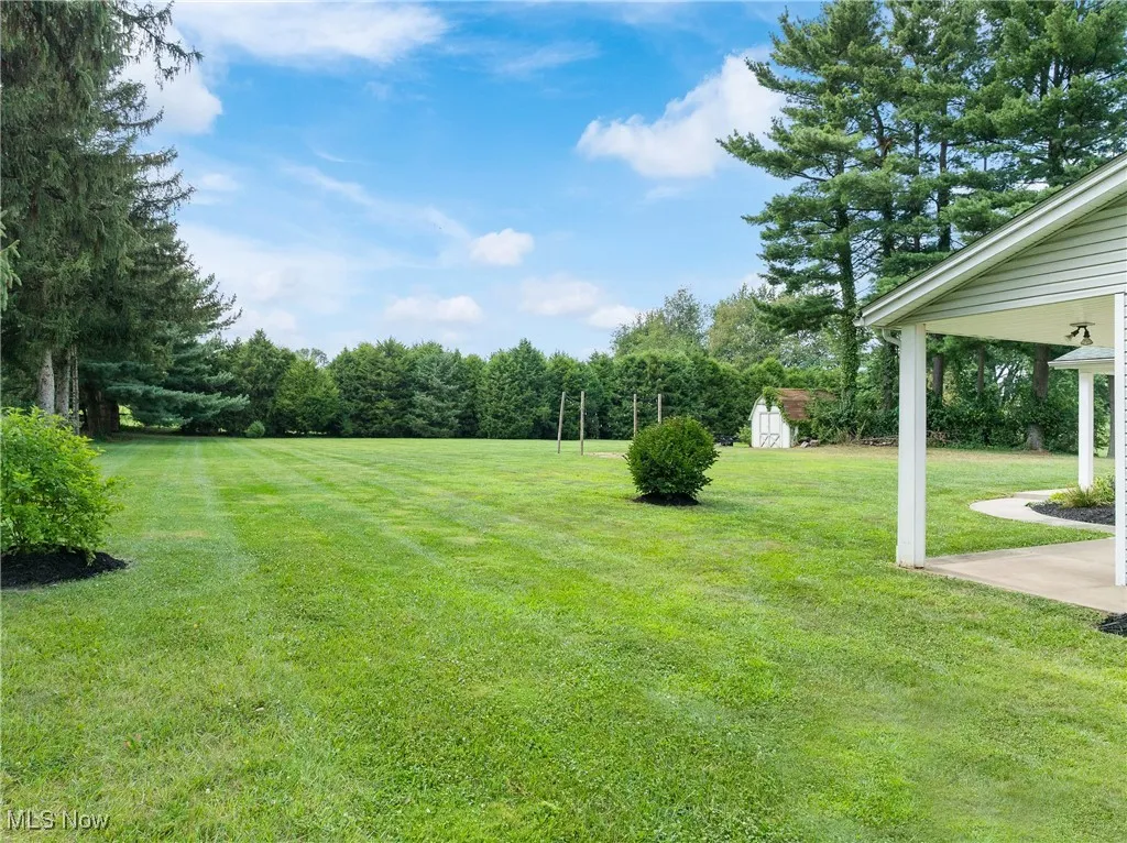 View of grassy yard with a patio