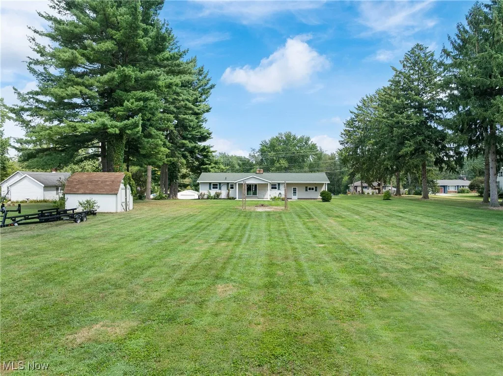 View of green lawn with a storage unit