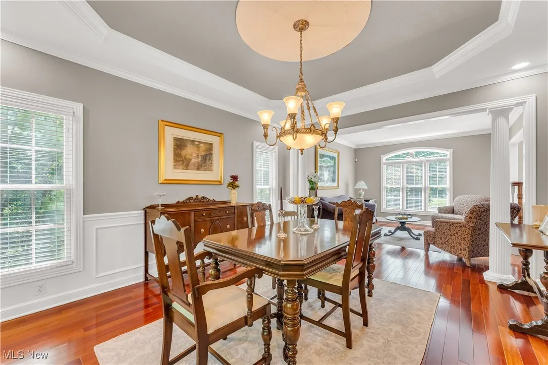 Light and bring dining room