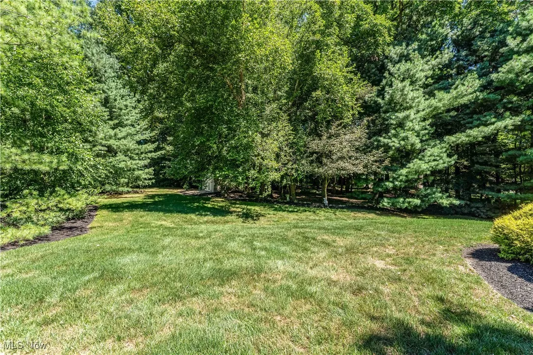 106 x 250 deep yard