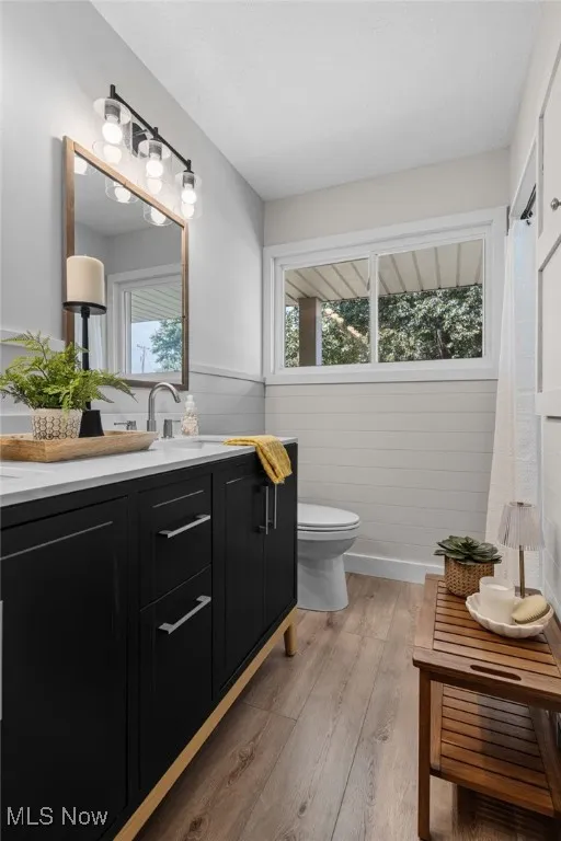 Full bathroom with vanity, light wood finished floors, and healthy amount of natural light