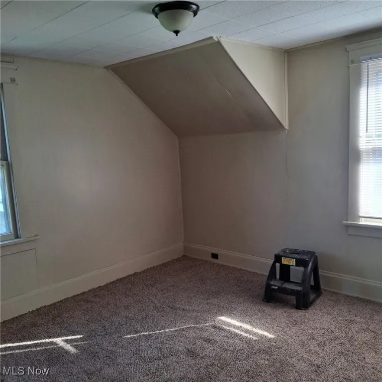 Bonus room with plenty of natural light, carpet, and vaulted ceiling