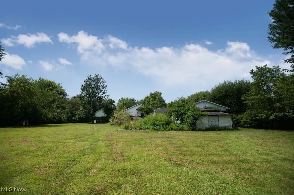 View of green lawn