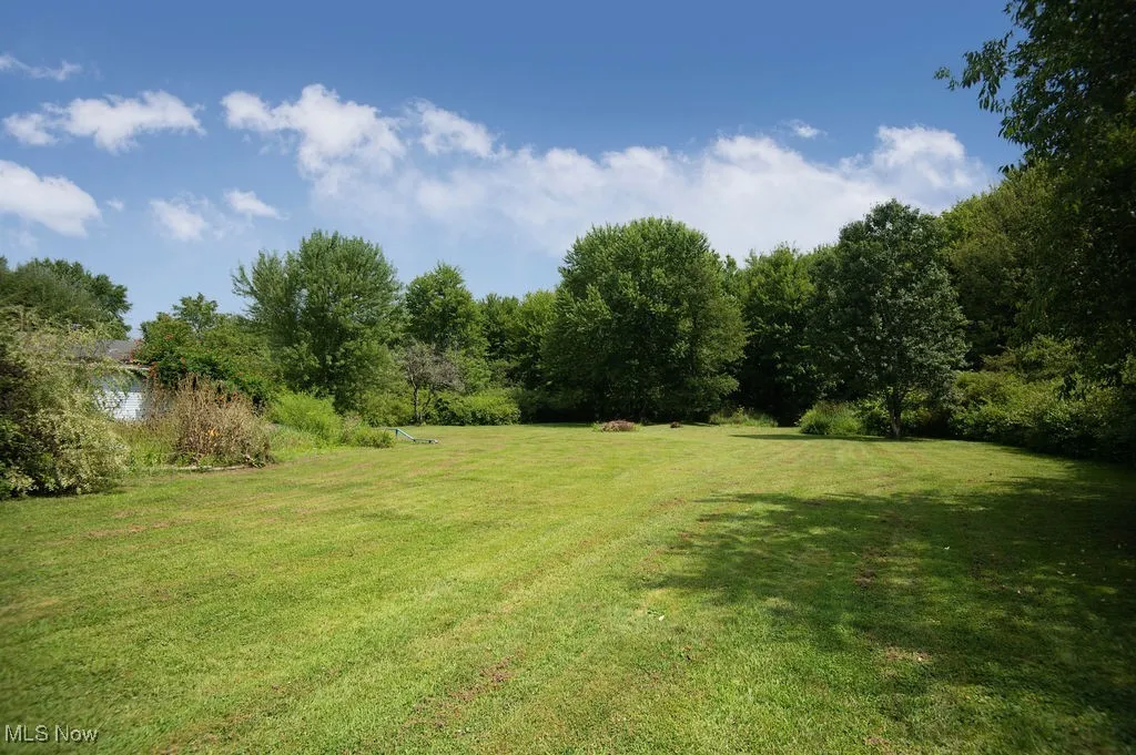 View of green lawn