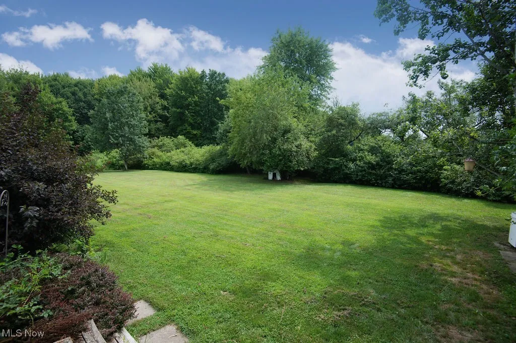 View of grassy yard