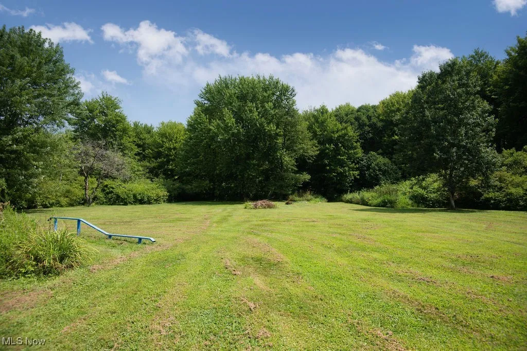 View of green lawn featuring a forest view