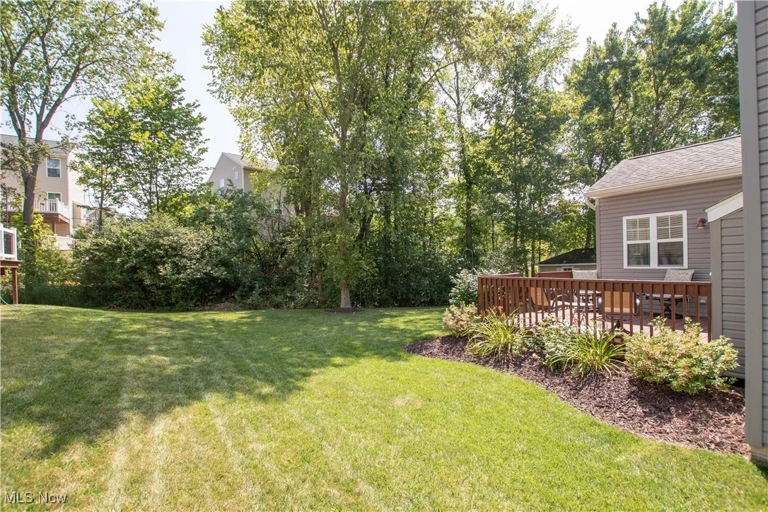 4302 Butterfly Circle, Medina, Ohio 44256,MLS Now Listing ID