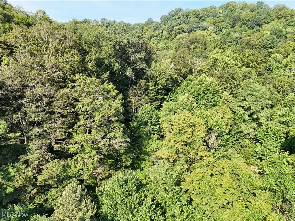 2958 County Road 56, Toronto, Ohio 43964,MLS Now Listing ID