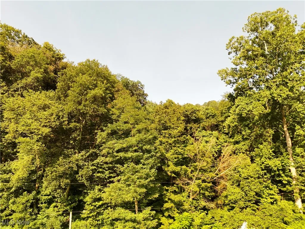 2958 County Road 56, Toronto, Ohio 43964,MLS Now Listing ID