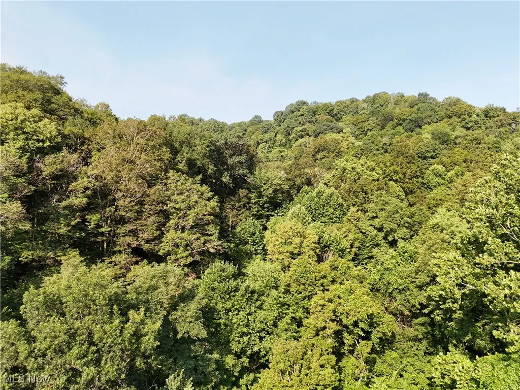 2958 County Road 56, Toronto, Ohio 43964,MLS Now Listing ID