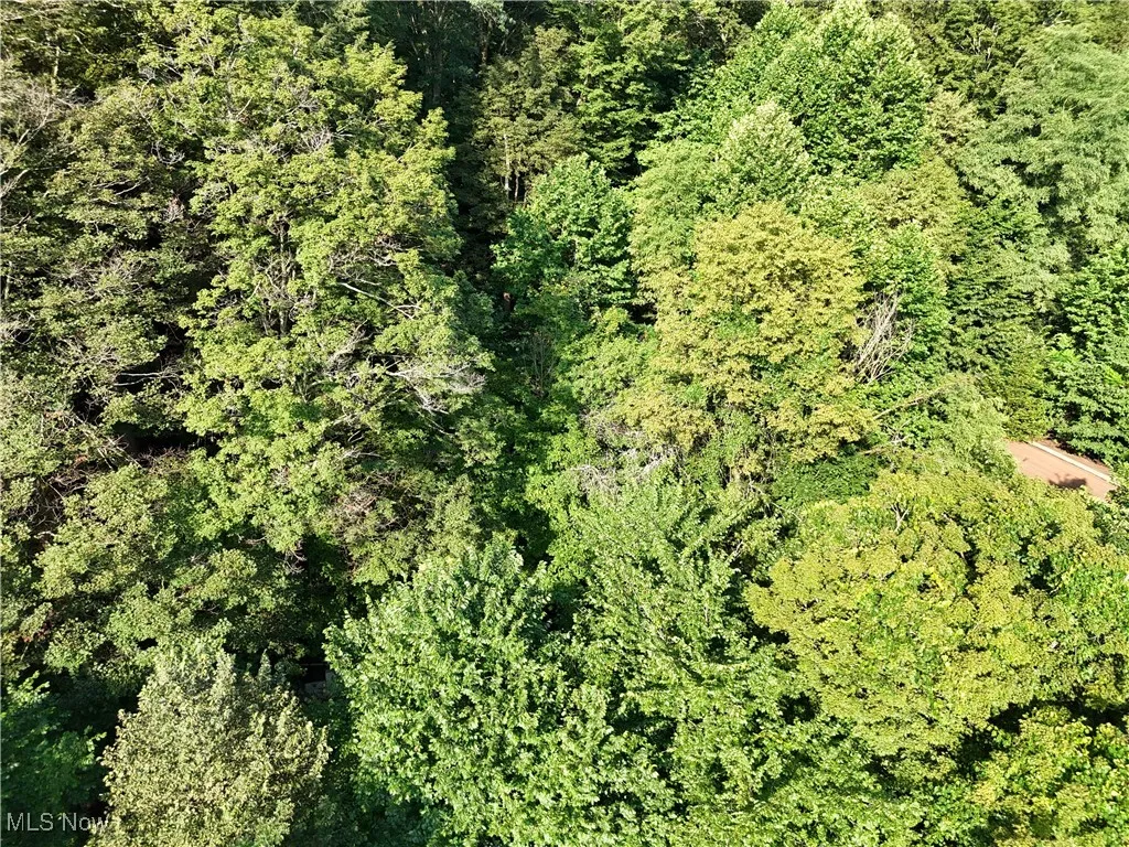 2958 County Road 56, Toronto, Ohio 43964,MLS Now Listing ID