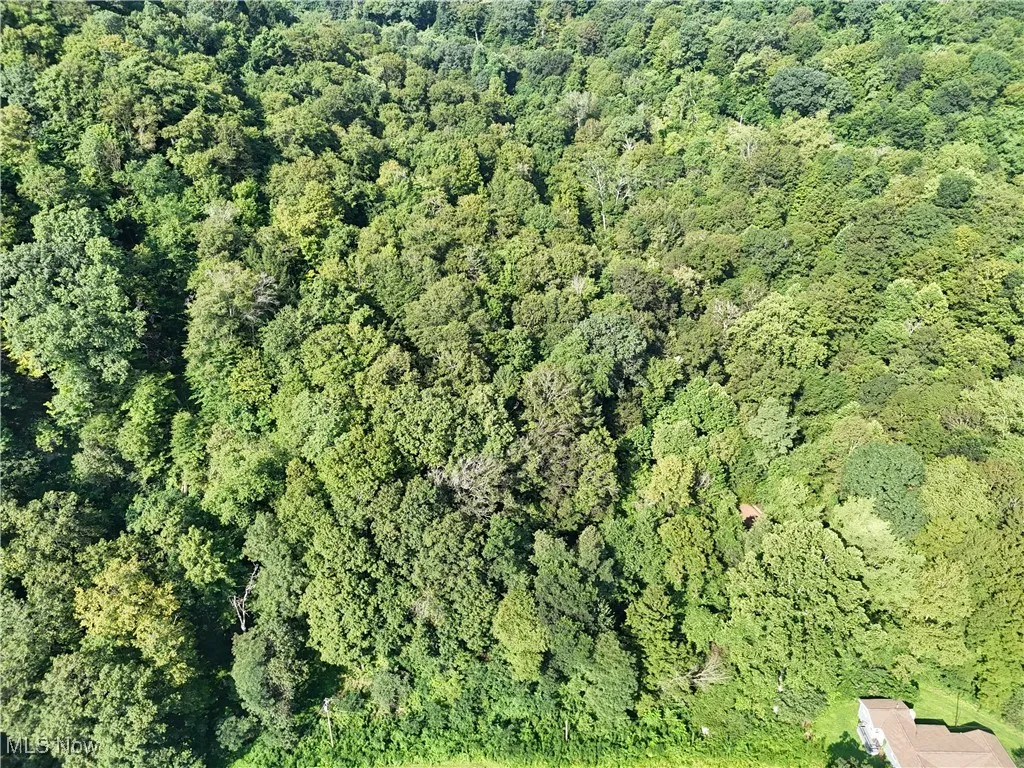 2958 County Road 56, Toronto, Ohio 43964,MLS Now Listing ID