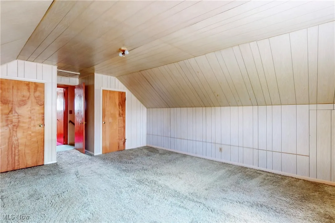 Additional living space with wood walls, lofted ceiling, and carpet flooring