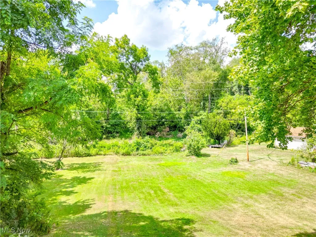 View of grassy yard