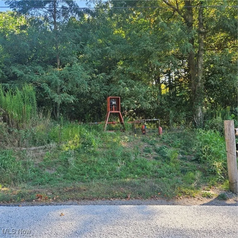 Neimans Avenue, East Canton, Ohio 44730,MLS Now Listing ID