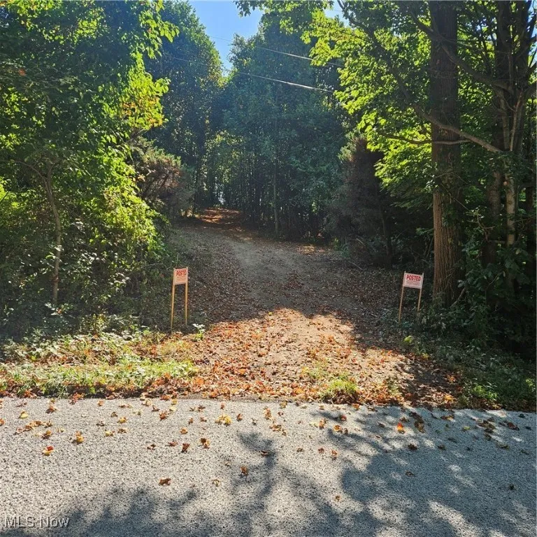 View of yard featuring a forest view