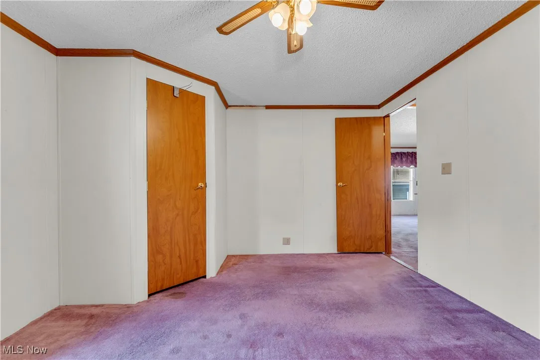 Spare room featuring carpet, ornamental molding, a textured ceiling, and ceiling fan