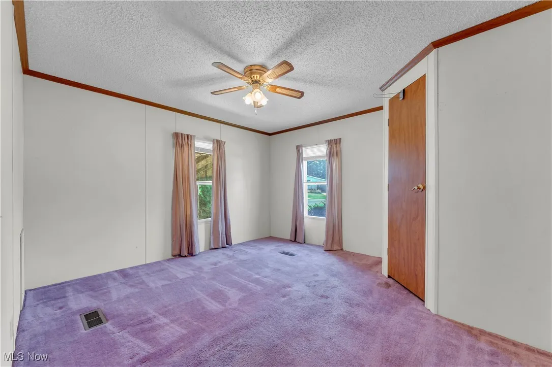 Spare room featuring crown molding, a textured ceiling, carpet, and a ceiling fan
