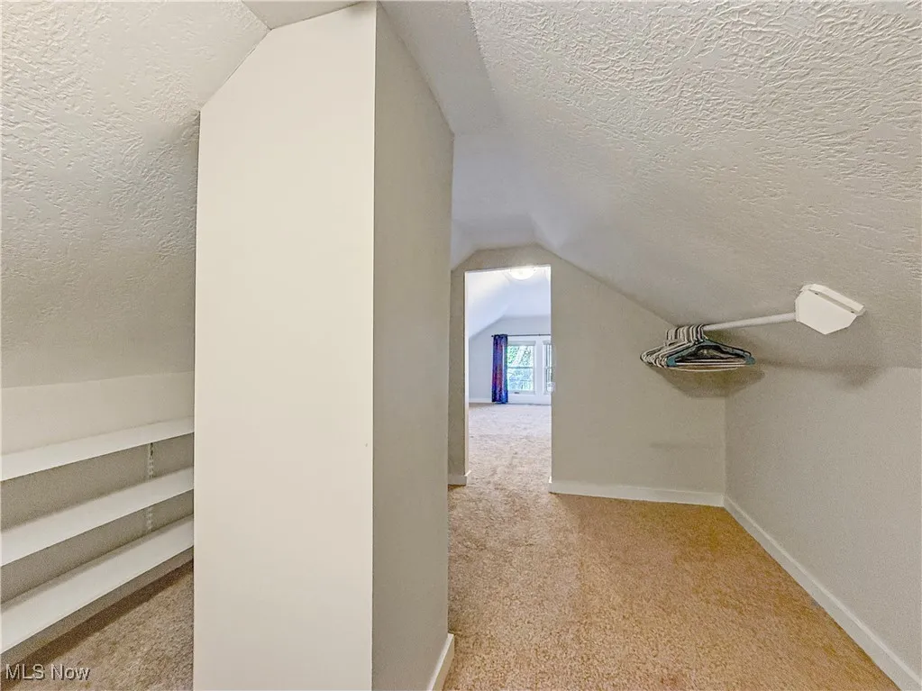 Additional living space with a textured ceiling, lofted ceiling, and light colored carpet
