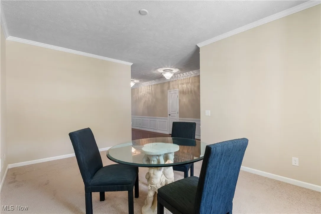 4839 Lake View Drive, Peninsula, Ohio 44264,MLS Now Listing ID