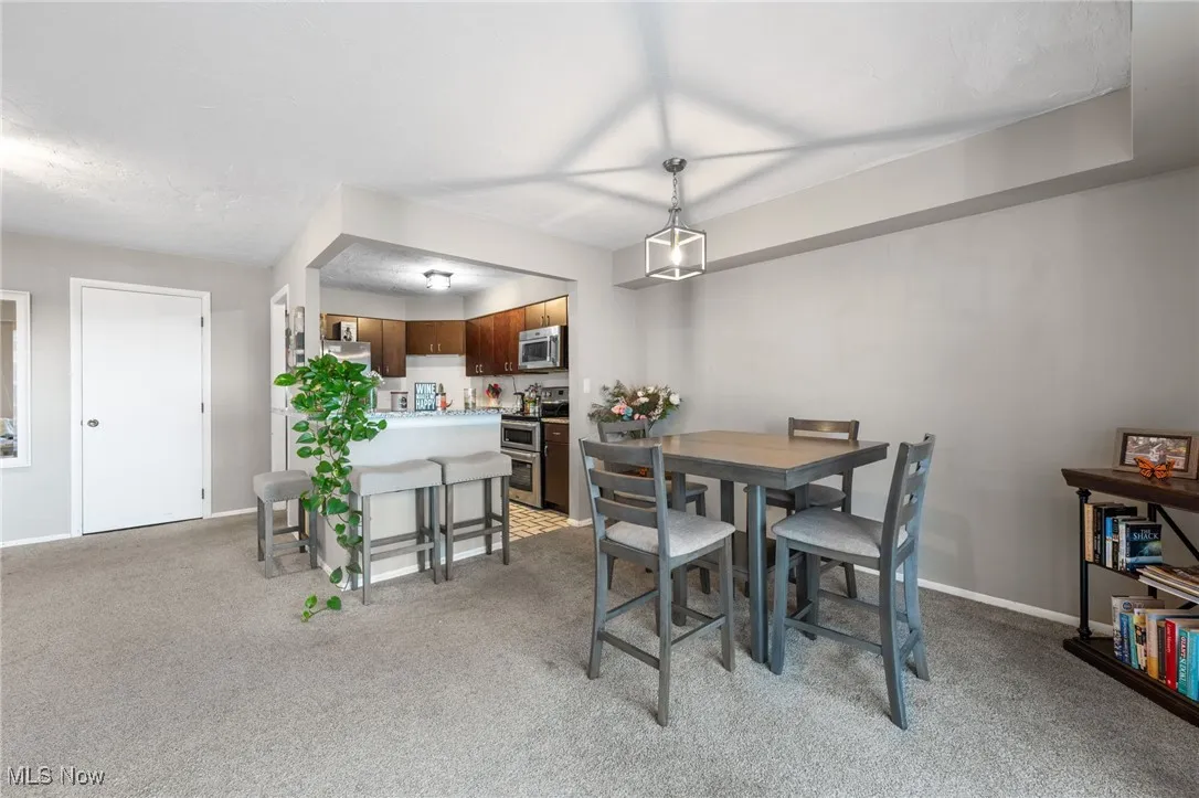 Dining area with carpet