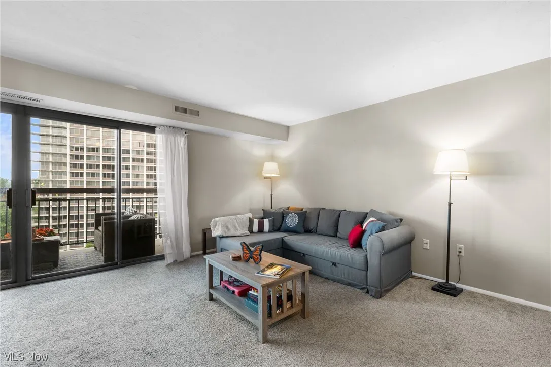 Living area featuring carpet and baseboards