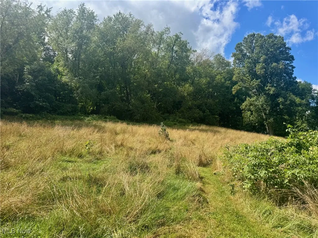 74 E Durbin Street, Bellville, Ohio 44813,MLS Now Listing ID